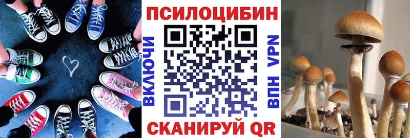 omg ONION Мамоново Галлюциногенные грибы GOLDEN TEACHER